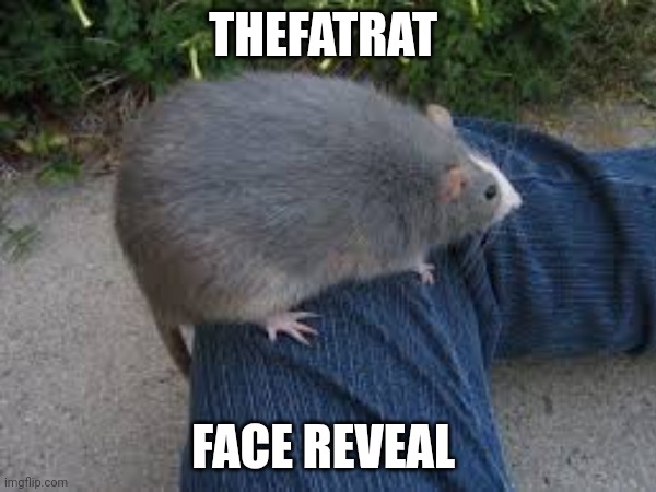 Wow, he's so cool | THEFATRAT; FACE REVEAL | made w/ Imgflip meme maker