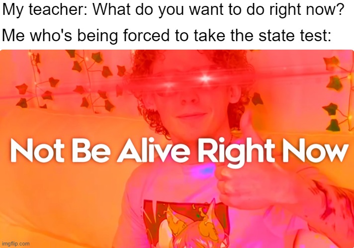 Not be alive right now | My teacher: What do you want to do right now? Me who's being forced to take the state test: | image tagged in not be alive right now | made w/ Imgflip meme maker