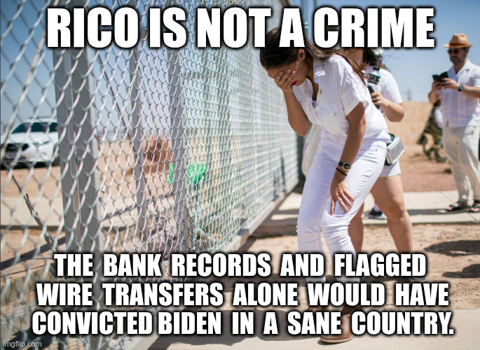 There IS Plenty of Evidence of a Crime- Republicans Must Move to Impeach | RICO IS NOT A CRIME; THE  BANK  RECORDS  AND  FLAGGED  WIRE  TRANSFERS  ALONE  WOULD  HAVE  CONVICTED BIDEN  IN  A  SANE  COUNTRY. | image tagged in aoc discovers the existence of fences | made w/ Imgflip meme maker