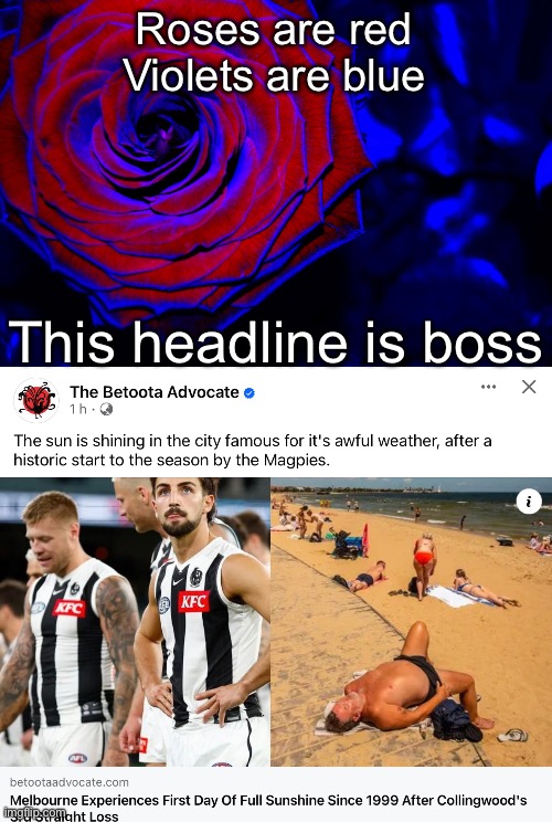 Roses are red
Violets are blue; This headline is boss | image tagged in roses are red violets are blue | made w/ Imgflip meme maker