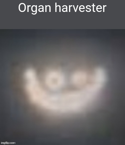 smiler on crack | Organ harvester | image tagged in smiler on crack | made w/ Imgflip meme maker