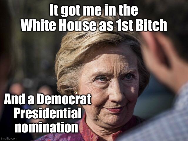 Hillary old bag | It got me in the White House as 1st Bitch And a Democrat Presidential nomination | image tagged in hillary old bag | made w/ Imgflip meme maker