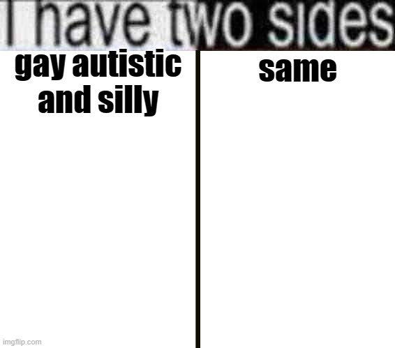 I have two sides | gay autistic and silly; same | image tagged in i have two sides | made w/ Imgflip meme maker