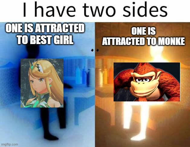 one was my main in smash pre-dlc, the other is my main now | ONE IS ATTRACTED TO BEST GIRL; ONE IS ATTRACTED TO MONKE | image tagged in i have two sides | made w/ Imgflip meme maker