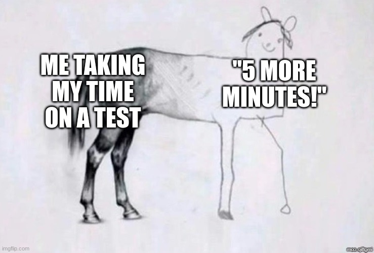 the last moments of a test | ME TAKING MY TIME ON A TEST; "5 MORE MINUTES!" | image tagged in horse drawing,school,rushing,class | made w/ Imgflip meme maker