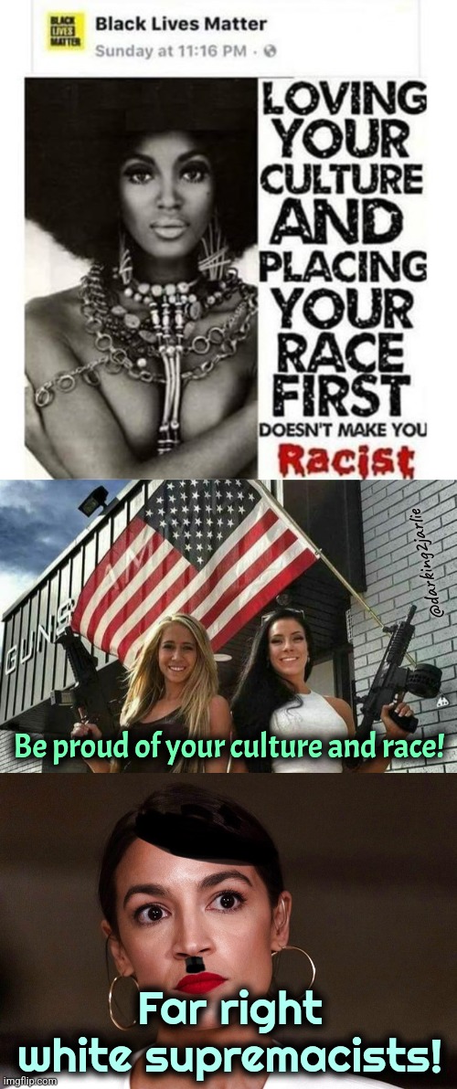 White bad. Black good. Equality! | @darking2jarlie; Be proud of your culture and race! Far right white supremacists! | image tagged in dictator dem,liberal logic,liberal hypocrisy,woke,blm,america | made w/ Imgflip meme maker
