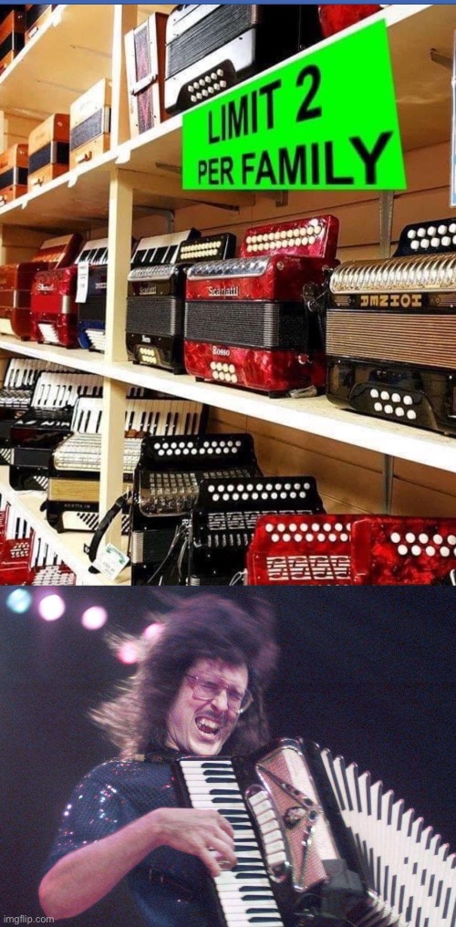 2 per family | image tagged in weird al accordion,family | made w/ Imgflip meme maker