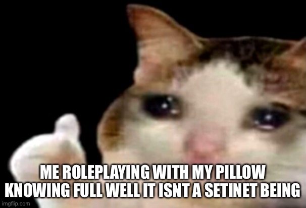 Yeahh im a degenerate :’/ | ME ROLEPLAYING WITH MY PILLOW KNOWING FULL WELL IT ISNT A SETINET BEING | image tagged in sad cat thumbs up | made w/ Imgflip meme maker