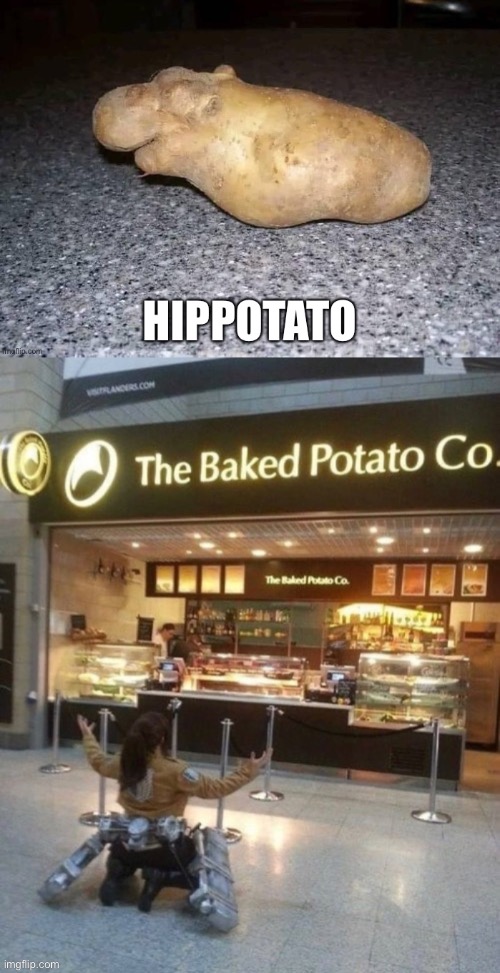 Hippotato Baking | image tagged in the baked potato co,baked,potato | made w/ Imgflip meme maker