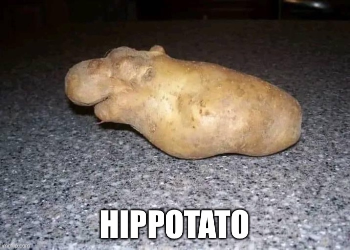 image tagged in hippo,potato | made w/ Imgflip meme maker