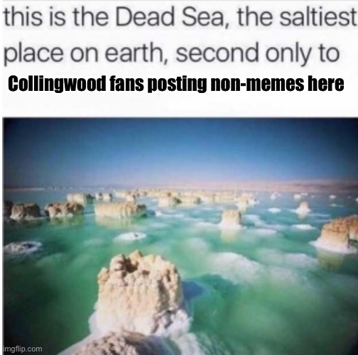 The saltiest place on earth | Collingwood fans posting non-memes here | image tagged in the saltiest place on earth | made w/ Imgflip meme maker