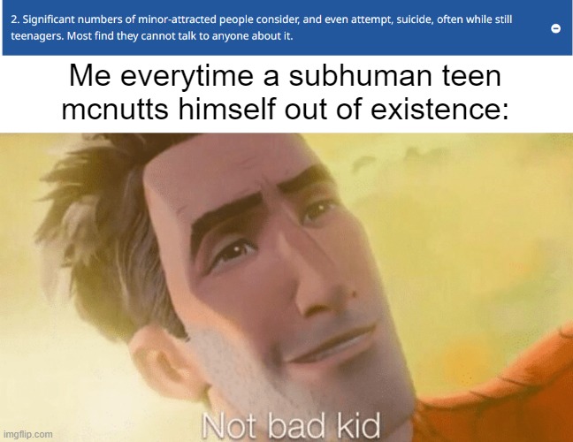 The best thing they can do as subhuman freaks! (Sieg Heil!) | Me everytime a subhuman teen mcnutts himself out of existence: | image tagged in not bad kid,memes,mappride | made w/ Imgflip meme maker