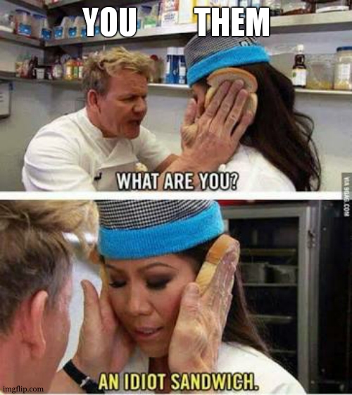 Idiot sandwich | YOU         THEM | image tagged in idiot sandwich | made w/ Imgflip meme maker