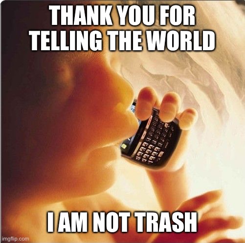 Baby in womb on cell phone - fetus blackberry | THANK YOU FOR TELLING THE WORLD I AM NOT TRASH | image tagged in baby in womb on cell phone - fetus blackberry | made w/ Imgflip meme maker