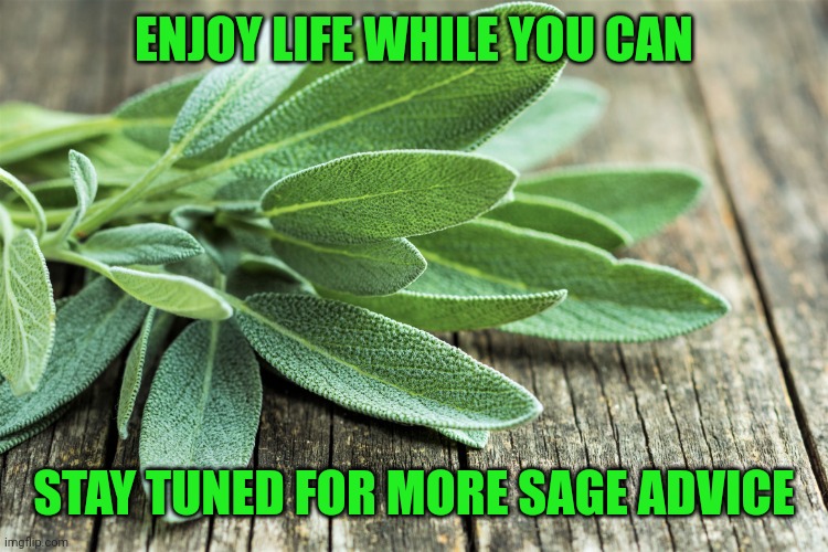 Sage | ENJOY LIFE WHILE YOU CAN; STAY TUNED FOR MORE SAGE ADVICE | image tagged in sage | made w/ Imgflip meme maker