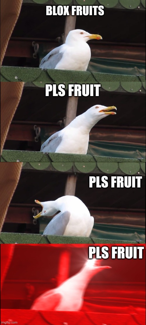 roblox | BLOX FRUITS; PLS FRUIT; PLS FRUIT; PLS FRUIT | image tagged in memes,inhaling seagull | made w/ Imgflip meme maker