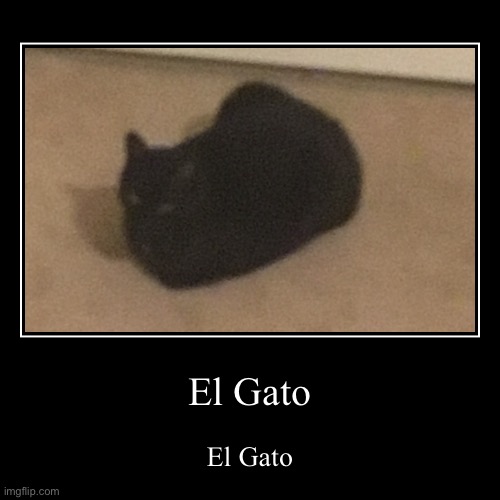 Cosmo’s El Gato Blank Meme Template