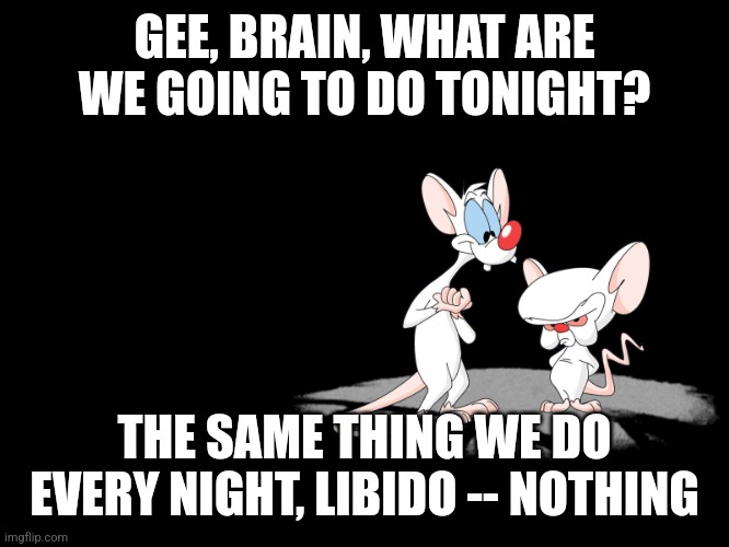 Libido and the Brain | GEE, BRAIN, WHAT ARE WE GOING TO DO TONIGHT? THE SAME THING WE DO EVERY NIGHT, LIBIDO -- NOTHING | image tagged in pinky and the brain | made w/ Imgflip meme maker