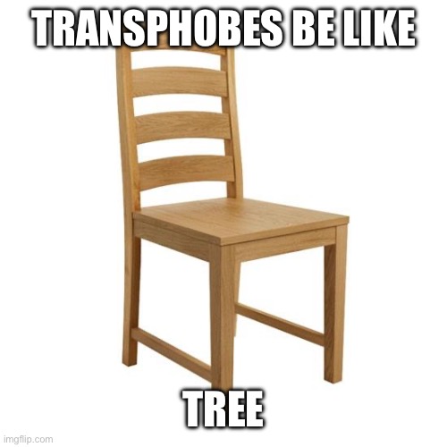 Chair | TRANSPHOBES BE LIKE TREE | image tagged in chair | made w/ Imgflip meme maker
