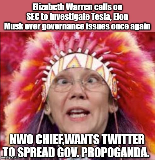 More weaponization of GOV. against the Citizens. | Elizabeth Warren calls on SEC to investigate Tesla, Elon Musk over governance issues once again; NWO CHIEF,WANTS TWITTER TO SPREAD GOV. PROPOGANDA. | image tagged in democrats,evil,psychopaths and serial killers | made w/ Imgflip meme maker