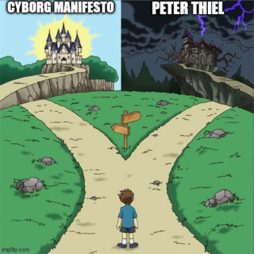 Dramatic Crossroads | CYBORG MANIFESTO; PETER THIEL | image tagged in dramatic crossroads | made w/ Imgflip meme maker