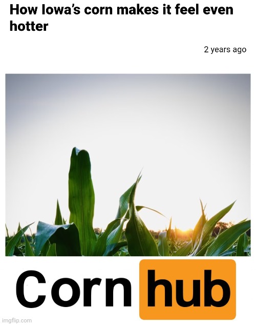 What are they doing over in Iowa?? | C | image tagged in corn,corny joke,dark humor | made w/ Imgflip meme maker