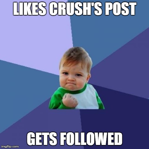 Happiest moment of my life. | LIKES CRUSH'S POST GETS FOLLOWED | image tagged in memes,success kid | made w/ Imgflip meme maker