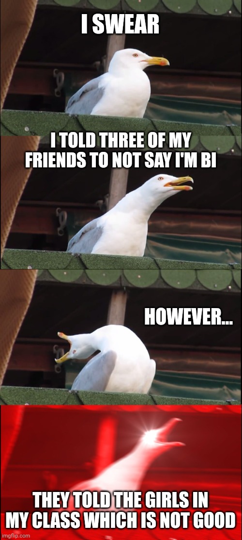 The girls are the ones who tease me for everything, and I want it to stay a secret around them. | I SWEAR; I TOLD THREE OF MY FRIENDS TO NOT SAY I'M BI; HOWEVER... THEY TOLD THE GIRLS IN MY CLASS WHICH IS NOT GOOD | image tagged in memes,inhaling seagull | made w/ Imgflip meme maker