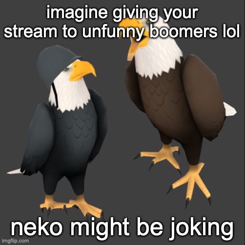 tf2 eagles | imagine giving your stream to unfunny boomers lol; neko might be joking | image tagged in tf2 eagles | made w/ Imgflip meme maker