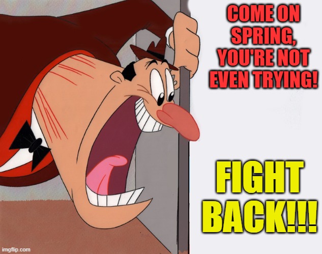 Fight back spring | COME ON SPRING, YOU'RE NOT EVEN TRYING! FIGHT BACK!!! | image tagged in yelling guy | made w/ Imgflip meme maker