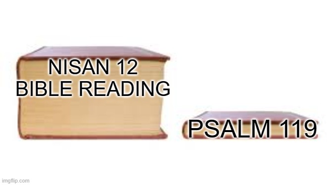 Nisan 12 Bible reading | NISAN 12 BIBLE READING; PSALM 119 | image tagged in big book small book,nisan 12,jesus,memorial,psalm 119 | made w/ Imgflip meme maker