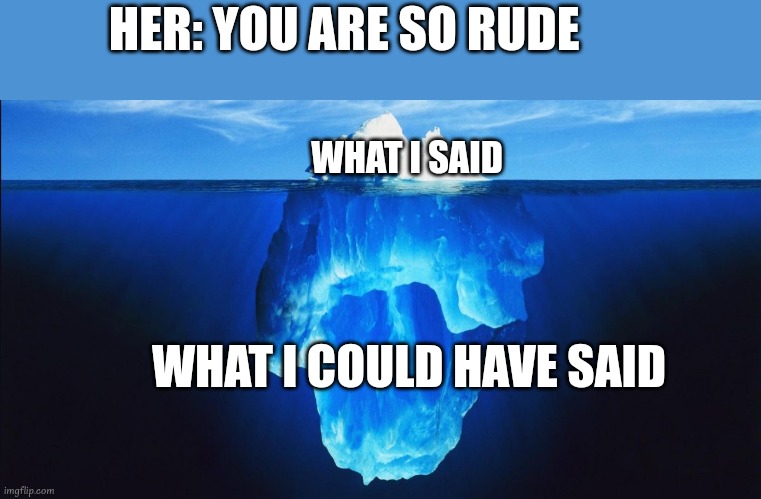 rude berg | HER: YOU ARE SO RUDE; WHAT I SAID; WHAT I COULD HAVE SAID | image tagged in ice berg,rude,conversation | made w/ Imgflip meme maker