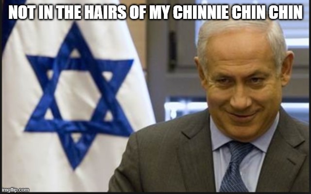 Israel Netanyahu | NOT IN THE HAIRS OF MY CHINNIE CHIN CHIN | image tagged in israel netanyahu | made w/ Imgflip meme maker