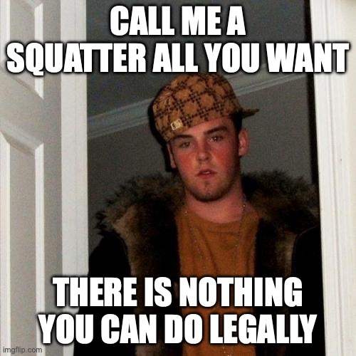 In New York, if someone enters your home without permission and claims to be a tenant, they can't be arrested for trespassing. | CALL ME A SQUATTER ALL YOU WANT; THERE IS NOTHING YOU CAN DO LEGALLY | image tagged in memes,scumbag steve | made w/ Imgflip meme maker