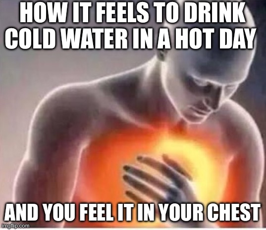Chest pain  | HOW IT FEELS TO DRINK COLD WATER IN A HOT DAY; AND YOU FEEL IT IN YOUR CHEST | image tagged in chest pain | made w/ Imgflip meme maker