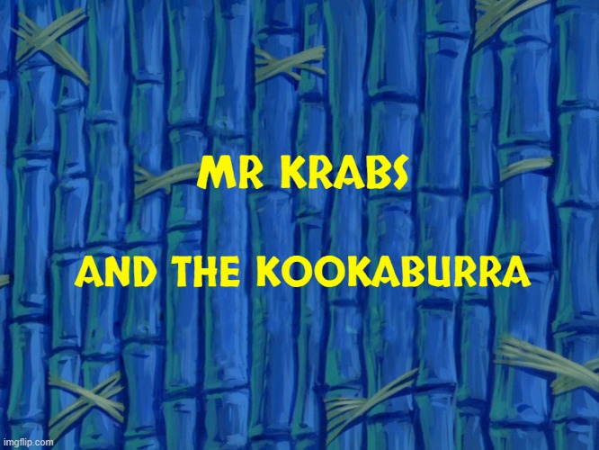 fake spongebob title cards volume 1 | MR KRABS; AND THE KOOKABURRA | image tagged in spongebob title card meme,fake,nickelodeon,paramount | made w/ Imgflip meme maker