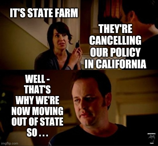 Bye Bye | IT'S STATE FARM; THEY'RE CANCELLING OUR POLICY IN CALIFORNIA; WELL -
THAT'S WHY WE'RE NOW MOVING OUT OF STATE
SO . . . | image tagged in well he's a guy so,jake,state farm,leftists,liberals | made w/ Imgflip meme maker