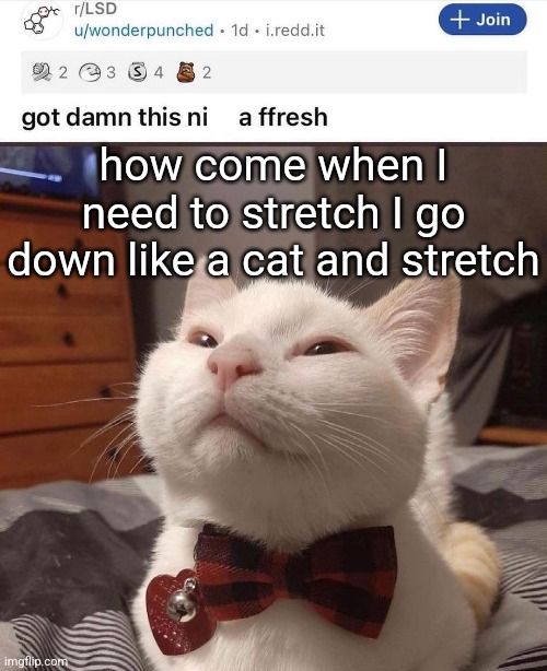 LSD cat | how come when I need to stretch I go down like a cat and stretch | image tagged in lsd cat | made w/ Imgflip meme maker