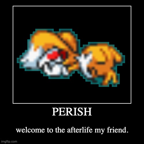 perish | PERISH | welcome to the afterlife my friend. | image tagged in funny,demotivationals | made w/ Imgflip demotivational maker