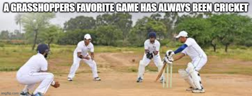 memes by Brad grasshoppers love cricket | A GRASSHOPPERS FAVORITE GAME HAS ALWAYS BEEN CRICKET | image tagged in sports,funny,funny meme,cricket,humor | made w/ Imgflip meme maker