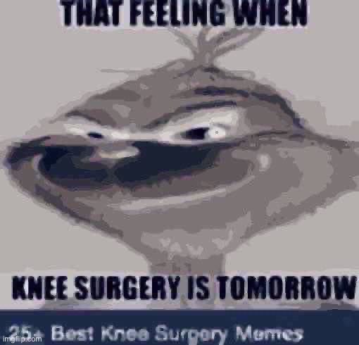 that feeling when knee surgery is tomorrow | image tagged in that feeling when knee surgery is tomorrow | made w/ Imgflip meme maker