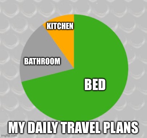 Travel Plans | KITCHEN; BATHROOM; BED; MY DAILY TRAVEL PLANS | image tagged in pie chart,bed,bathroom,kitchen,travel | made w/ Imgflip meme maker