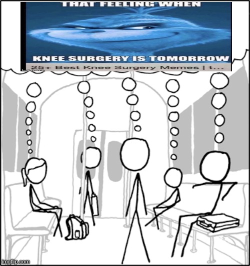 Sheeple | image tagged in sheeple,knee surgery,that feeling when knee surgery is tomorrow | made w/ Imgflip meme maker