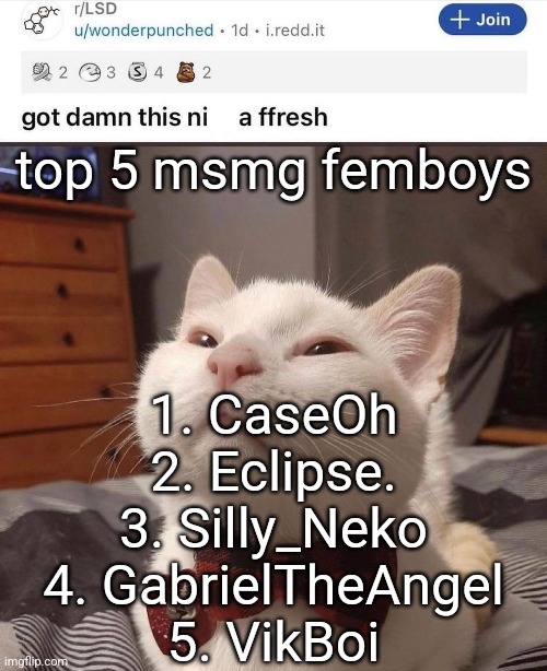 LSD cat | top 5 msmg femboys; 1. CaseOh
2. Eclipse.
3. Silly_Neko
4. GabrielTheAngel
5. VikBoi | image tagged in lsd cat | made w/ Imgflip meme maker