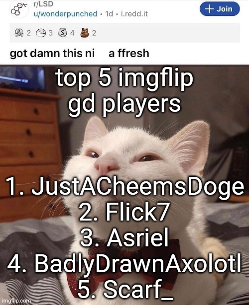 LSD cat | top 5 imgflip gd players; 1. JustACheemsDoge
2. Flick7
3. Asriel
4. BadlyDrawnAxolotl
5. Scarf_ | image tagged in lsd cat | made w/ Imgflip meme maker
