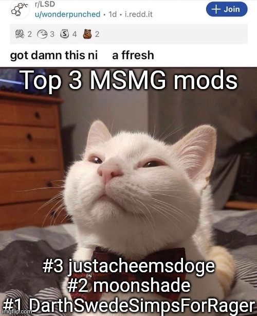 LSD cat | Top 3 MSMG mods; #3 justacheemsdoge
#2 moonshade
#1 DarthSwedeSimpsForRager | image tagged in lsd cat | made w/ Imgflip meme maker