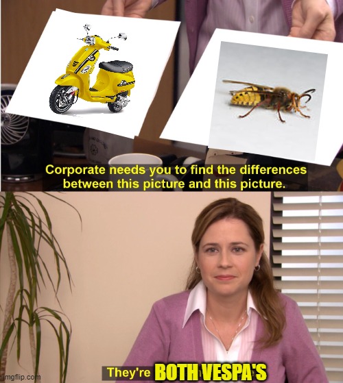 VESPA'S | BOTH VESPA'S | image tagged in memes,they're the same picture | made w/ Imgflip meme maker