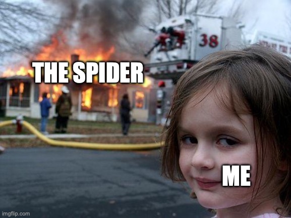 Disaster Girl Meme | THE SPIDER ME | image tagged in memes,disaster girl | made w/ Imgflip meme maker