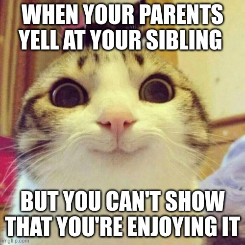 Smiling Cat | WHEN YOUR PARENTS YELL AT YOUR SIBLING; BUT YOU CAN'T SHOW THAT YOU'RE ENJOYING IT | image tagged in memes,smiling cat | made w/ Imgflip meme maker