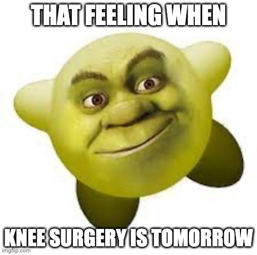 SMG-4 | THAT FEELING WHEN; KNEE SURGERY IS TOMORROW | image tagged in shirby | made w/ Imgflip meme maker